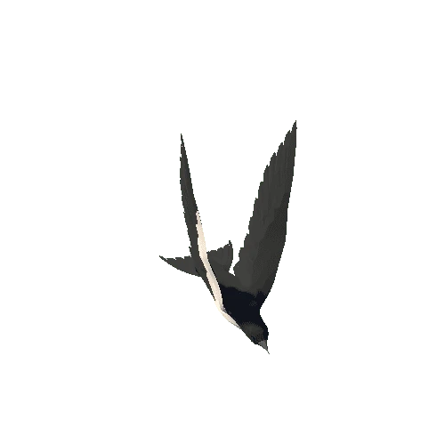 Low Poly Swallow 03 Variant